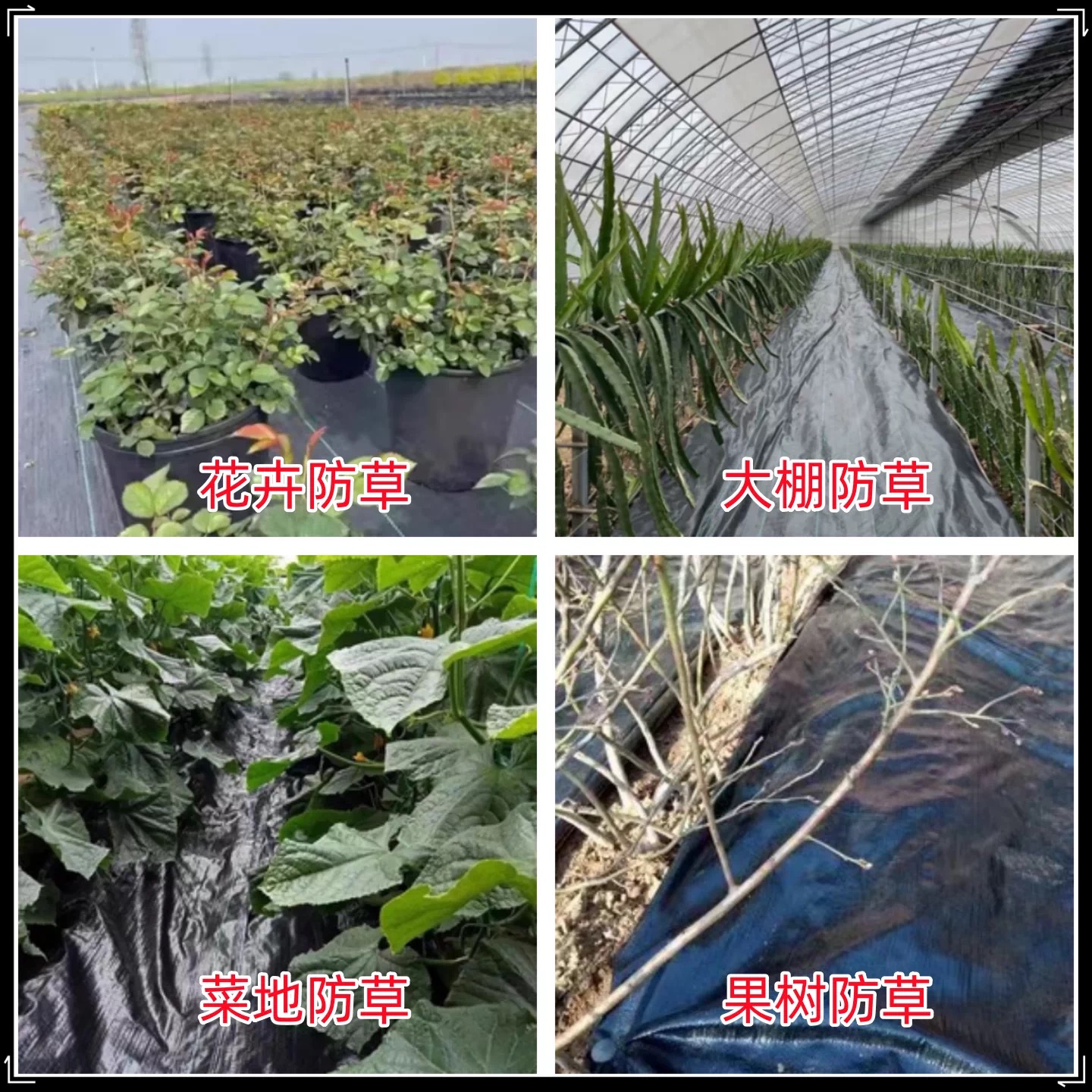 漯河市塑料薄膜防草布 - 一站式服务