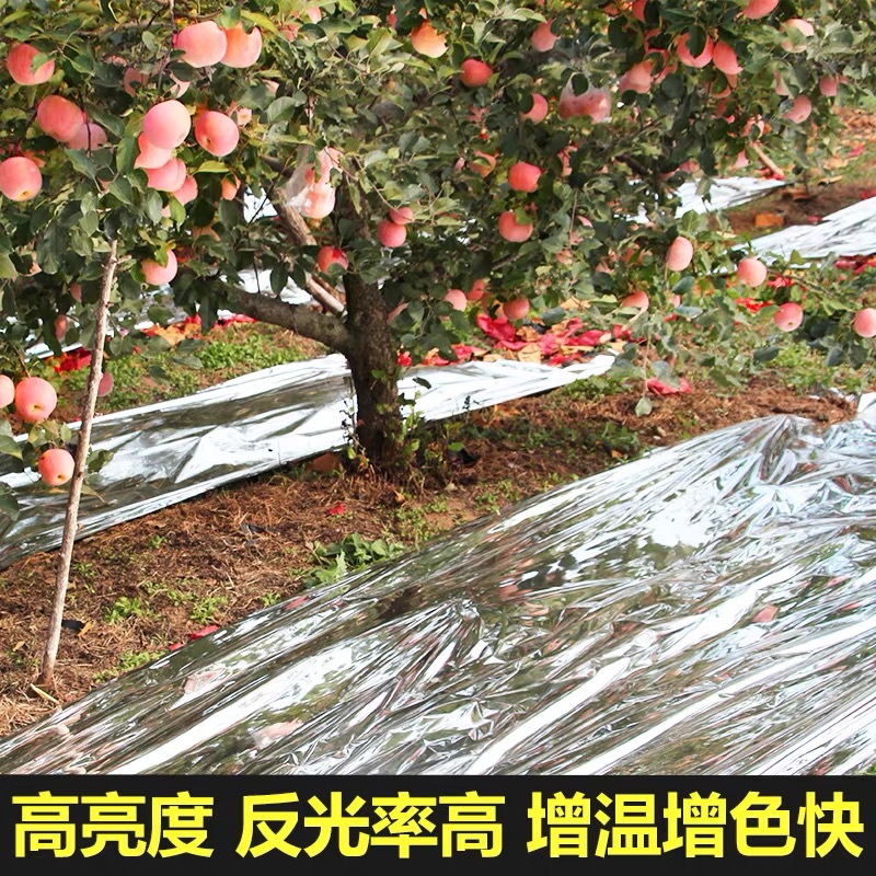 漯河市大棚膜果树反光膜 - 方案